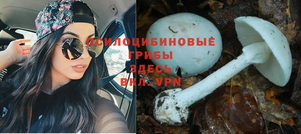 каннабис Алексеевка