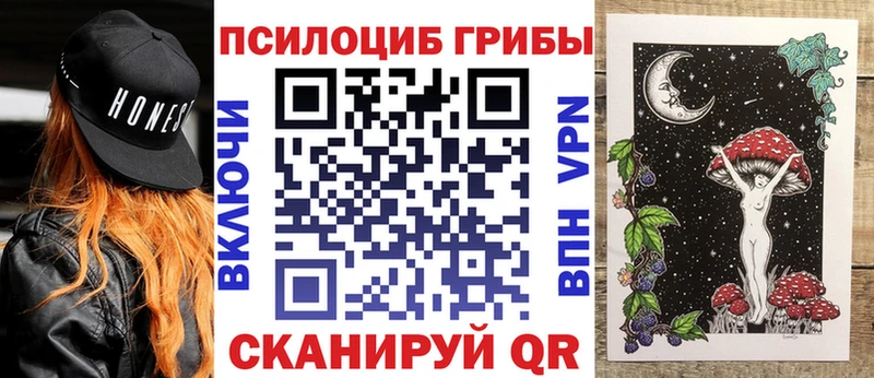 магазин продажи наркотиков  Алексин  Галлюциногенные грибы Magic Shrooms 